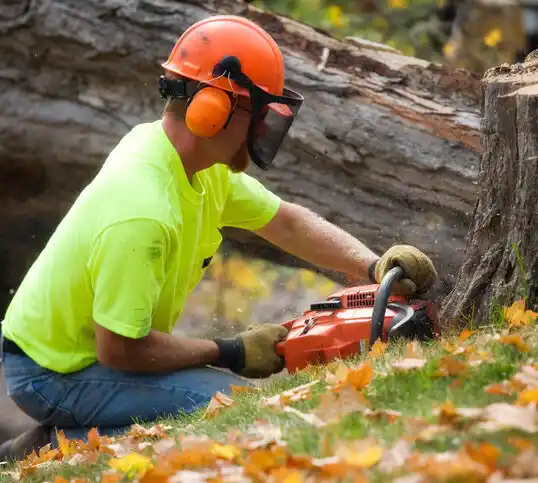 tree services Cook